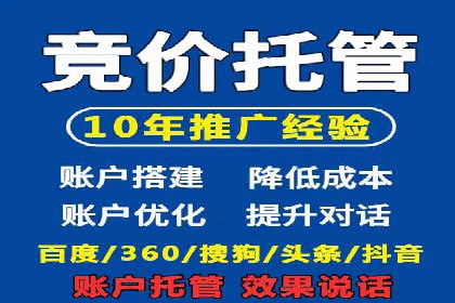 SEM推广策略：实战案例解析